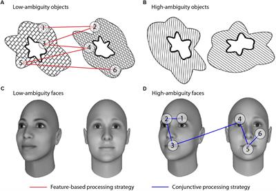 Conjunctive Visual Processing Appears Abnormal in Autism